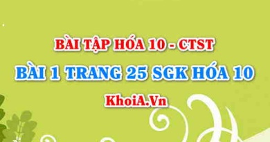 Bài 1 trang 25 SGK Hoá 10 Chân trời sáng tạo